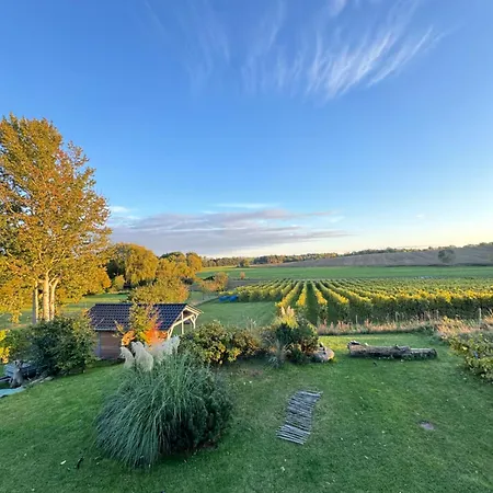 شقة Am Rebstock Anker *